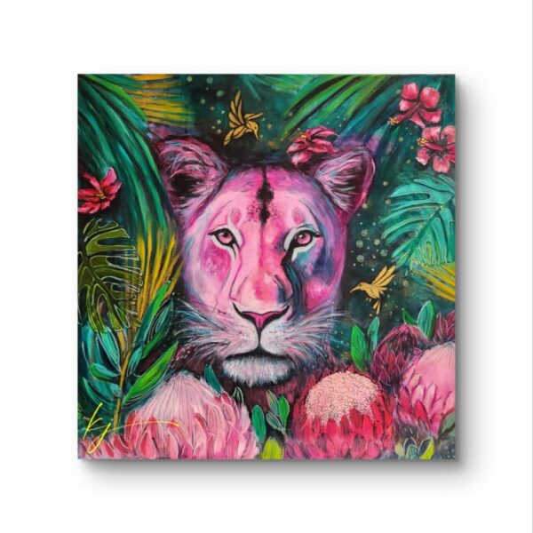 Tropical Dream KJ
