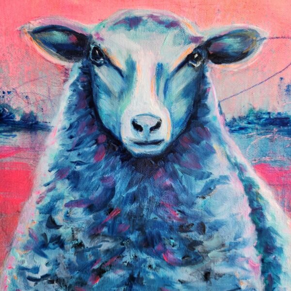 Shepherd's Delight Close Up 2